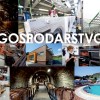 gospodarstvo-splosna
