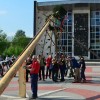 postavljanje_mlaja_velenje_2018_2773
