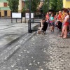 ana_desetnica