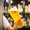 pivo_lasko_fontana