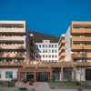zimzelen_topolsica