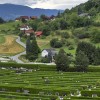 pokopalisce-podkraj