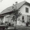 druzmirje