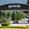 gorenje_roze_velenje_hisense