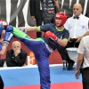 kickboks-skala