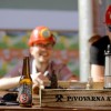 festival_piva_sostanj_2015