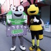 w ECI in Pika
