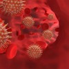 koronavirus