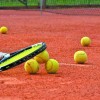 tenis, jakopina