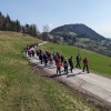 _zsvibno__06_.jpg