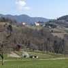 _zsvibno__08_.jpg