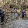 _zsvibno__11_.jpg
