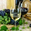 vino