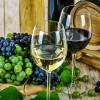 november-pratika-wines-1761613