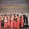 večerna-impresija-590975993094361