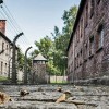 taborisce-auschwitz