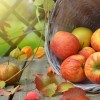 jesen-apples-1776744_1280