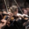 glasba-violins-1838390_1280