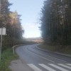 sekanje-dreves_114503