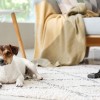shutterstock_2036928527.jpg