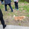 img_20230501_113212.jpg