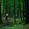 simbolična, gorsko-kolesarstvo, kolesarjenje, narava, gibanje
