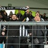mura, gorica, tribune, navijači