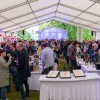festival_modre_frankinje__09_.jpg