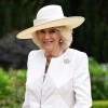 "Medena kraljica": Camilla je strastna čebelarka in prideluje svoj lasten med, ki ga prodaja za dobr