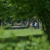 simbolična, park, pomlad, drevored, grad