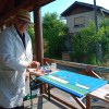 vino-art, mednarodna-likovna-kolonija, dobrovnik