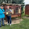 branko-pajič, akrobatski-golobi