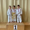 shotokan-do-tromejnik-kuzma, karate