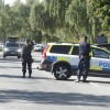 švedska policija