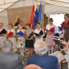 dan-državnosti, monošter, metka-lajnšček