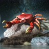 rak zodiak
