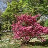 PPnaslovna-maj23.jpg