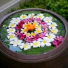 Zamisli naslovna-jul23.jpg