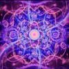 horoskop