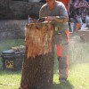 toplice_fest25.jpg