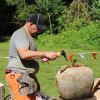 toplice_fest60.jpg