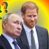 Harry in Putin