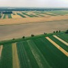 simbolična, dron, polja, polje, njiva, njive, kmetijstvo, poljedelstvo