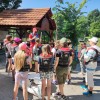 poletna-šola-slovenščine, slovenščina-malo-drugače, slovenska-izseljenska-matica