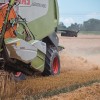 žetev-2023, pšenica, pšenice, kombajn, traktor, kmetijstvo, njiva, polje, panvita