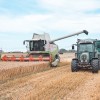 žetev-2023, pšenica, pšenice, kombajn, traktor, kmetijstvo, njiva, polje, panvita