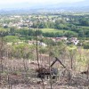 foto2.jpg
