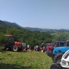 20230709_104556.jpg