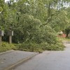 gornja-radgona, neurje-julij-2023, nevihta-toča-vreme, gasilci-podrta-drevesa