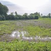 simbolična, neurje-nevihta, polje-posledice-buče, njiva